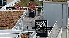 Brf HT1 Växter på takterrassen