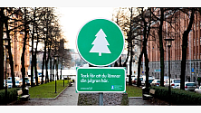 Stockholm Stad, graninsamling